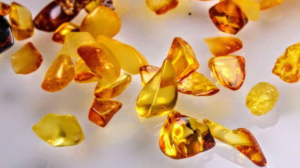 Bernstein - Bernstein - Baltic Amber - 0.5 mm - 0.5 mm #4.3