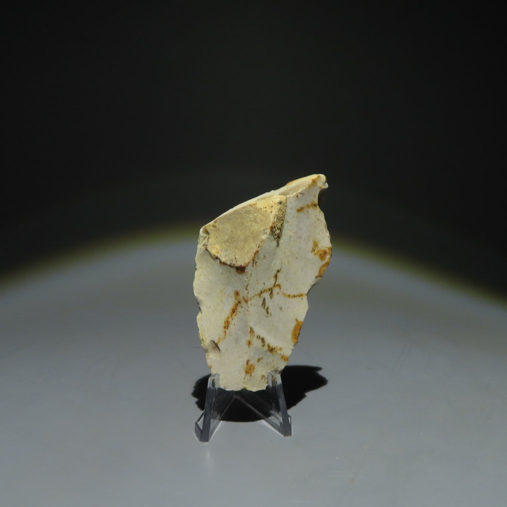 新石器时代 燧石 燧石工具。米歇尔斯堡文化（发现于比利时蒙斯的斯皮恩斯）。新石器时代，大约  (没有保留价) #1.0