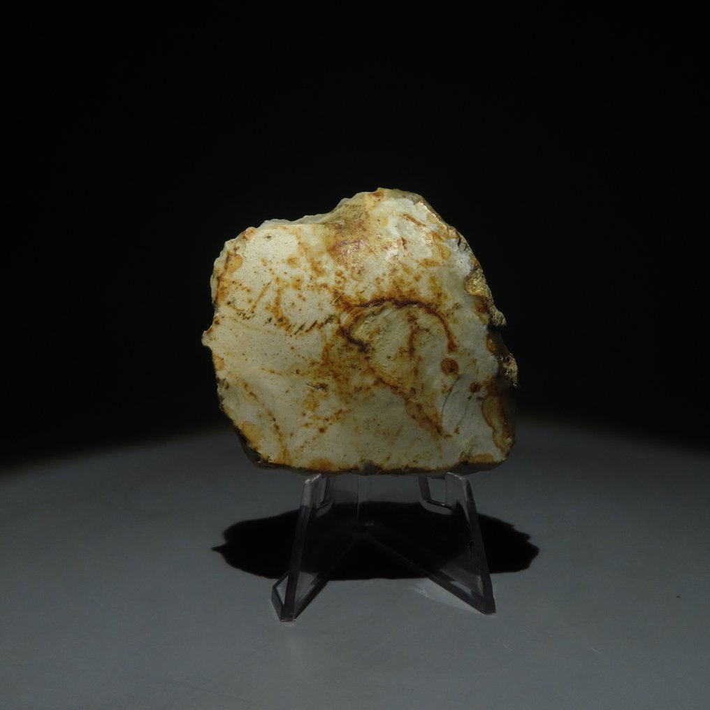 新石器时代 燧石 燧石工具。米歇尔斯堡文化(发现于比利时蒙斯的斯皮恩斯)。新石器时代,大约 (没有保留价) #1.0