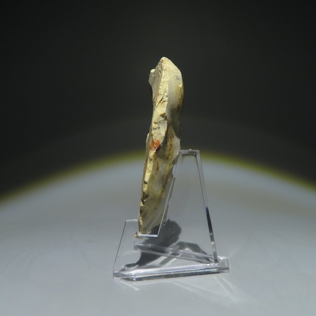 新石器時代 燧石 燧石工具。Michelsberg文化(发现于比利时蒙斯的Spiennes)。新石器时代,大约。 (沒有保留價) #1.0