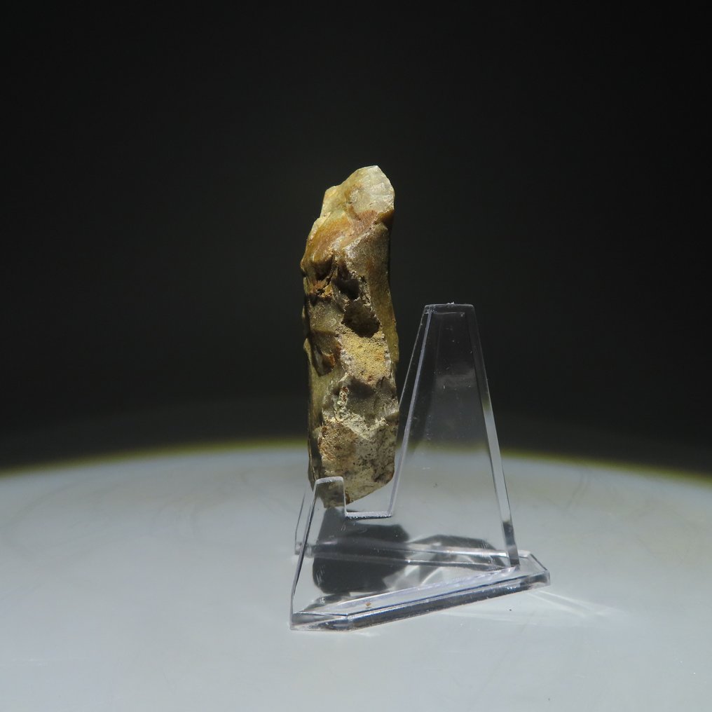 新石器时代 燧石 燧石工具。米歇尔斯堡文化（发现于比利时蒙斯的斯皮恩斯）。新石器时代，大约  (没有保留价) #2.1