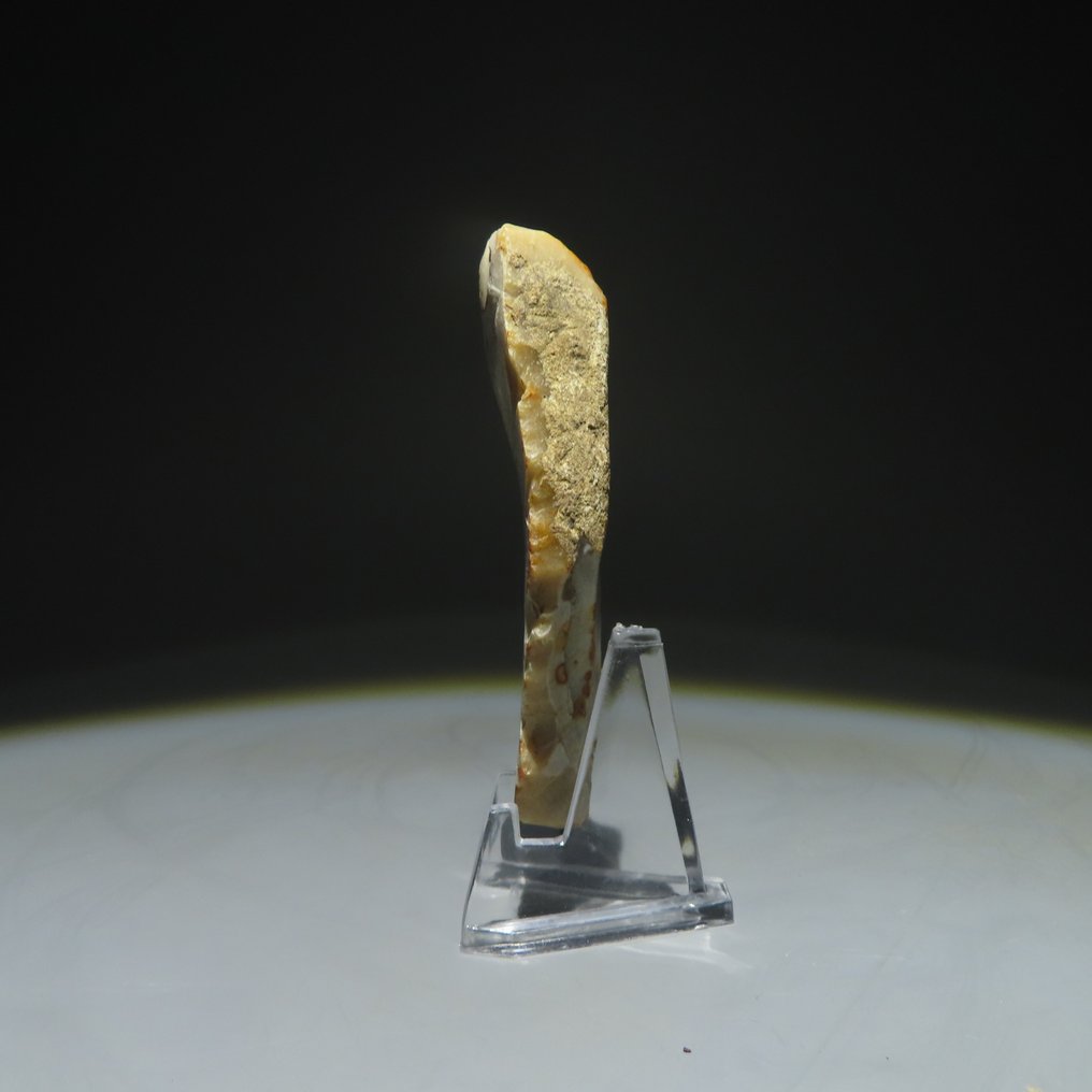 Νεολιθική Πυρόλιθος Εργαλείο από πυρίτη. Πολιτισμός Michelsberg (βρέθηκε στα Spiennes, Mons, Βέλγιο). Νεολιθική (χωρίς τιμή ασφαλείας) #2.1