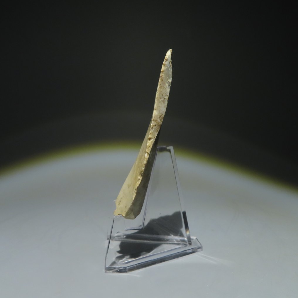 新石器时代 燧石 燧石工具。米歇尔斯堡文化（发现于比利时蒙斯的斯皮恩斯）。新石器时代，大约  (没有保留价) #3.2