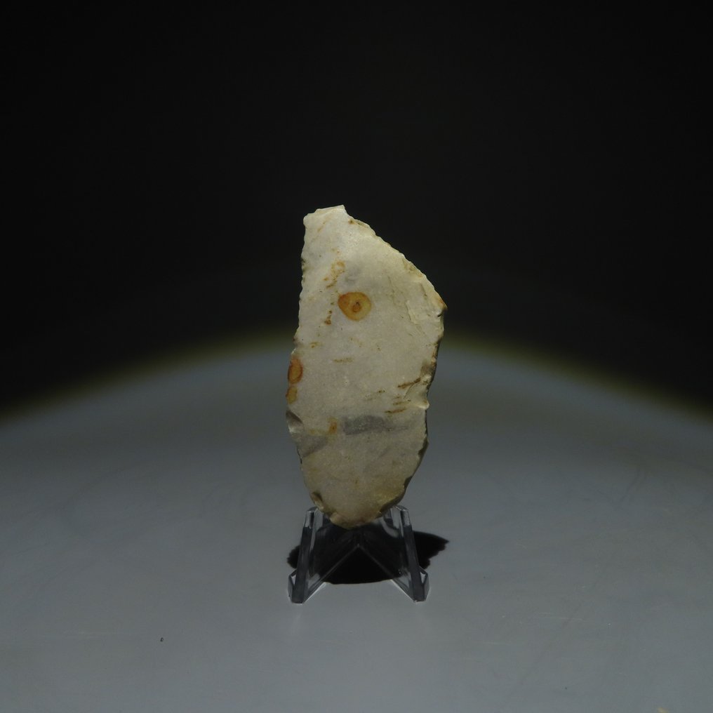 Neolitisk Flint Flintværktøj. Michelsberg-kulturen (fundet i Spiennes, Mons, Belgien). Nølittisk periode, circa. (Ingen mindstepris) #3.2