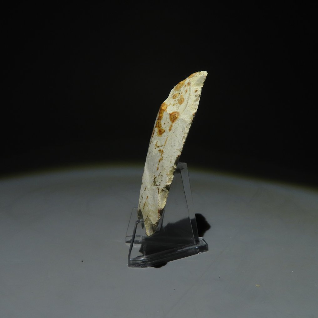 新石器时代 燧石 燧石工具。米歇尔斯堡文化（发现于比利时蒙斯的斯皮恩斯）。新石器时代，大约  (没有保留价) #1.0