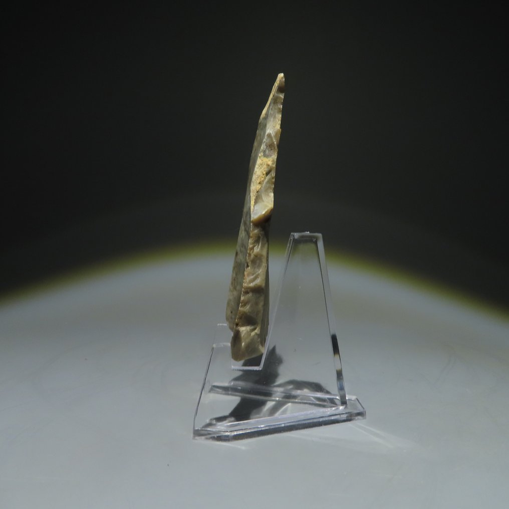 新石器时代 燧石 燧石工具。米歇尔斯堡文化（发现于比利时蒙斯的斯皮恩斯）。新石器时代，大约  (没有保留价) #1.0