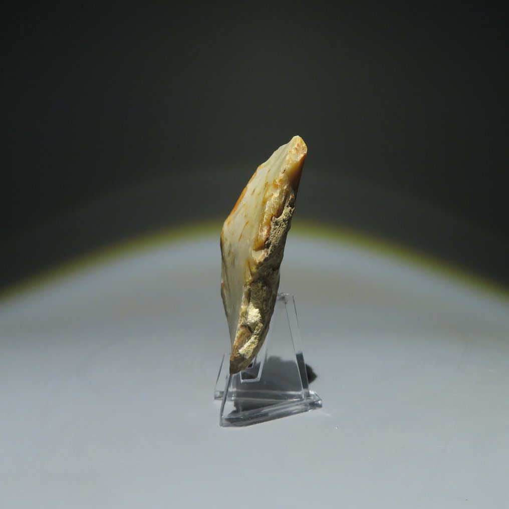 Νεολιθική Πυρόλιθος Εργαλείο από πυρίτη. Πολιτισμός Michelsberg (βρέθηκε στα Spiennes, Mons, Βέλγιο). Νεολιθική (χωρίς τιμή ασφαλείας) #1.0