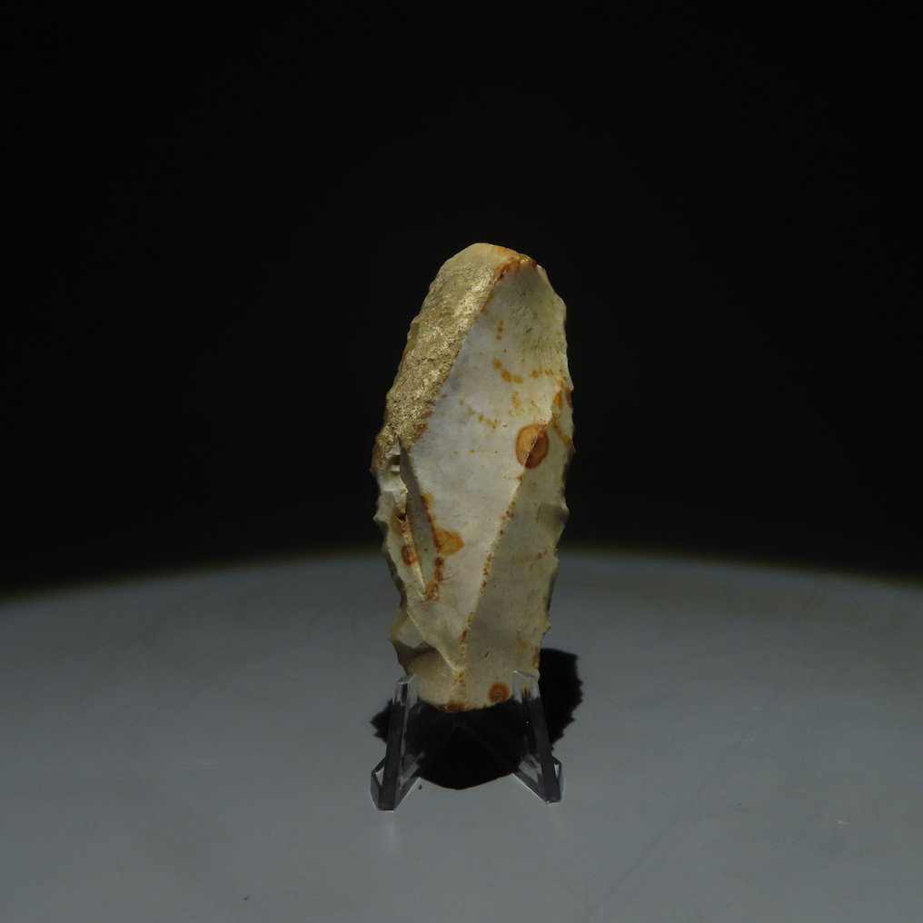 Νεολιθική Πυρόλιθος Εργαλείο από πυρίτη. Πολιτισμός Michelsberg (βρέθηκε στα Spiennes, Mons, Βέλγιο). Νεολιθική (χωρίς τιμή ασφαλείας) #1.0