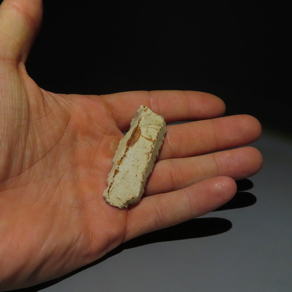 新石器时代 燧石 燧石工具。米歇尔斯堡文化（发现于比利时蒙斯的斯皮恩斯）。新石器时代，大约  (没有保留价) #4.3