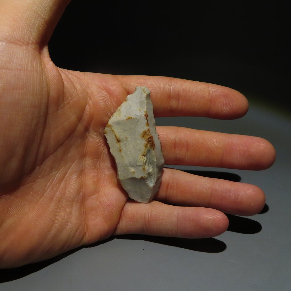 Neolitisk Flint Flintværktøj. Michelsberg-kulturen (fundet i Spiennes, Mons, Belgien). Nølittisk periode, circa. (Ingen mindstepris) #4.3