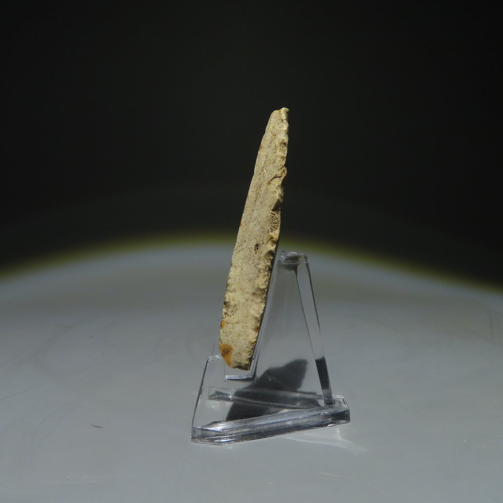 Neolithic Flint Flint tool. Michelsberg Culture (found in Spiennes, Mons, Belgium). Neolithic Period, circa  (No Reserve Price) #1.0