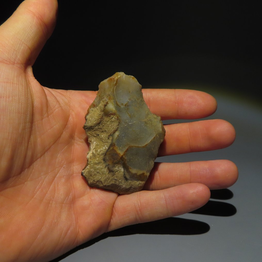 Νεολιθική Πυρόλιθος Εργαλείο από πυρίτη. Πολιτισμός Michelsberg (βρέθηκε στα Spiennes, Mons, Βέλγιο). Νεολιθική (χωρίς τιμή ασφαλείας) #4.3