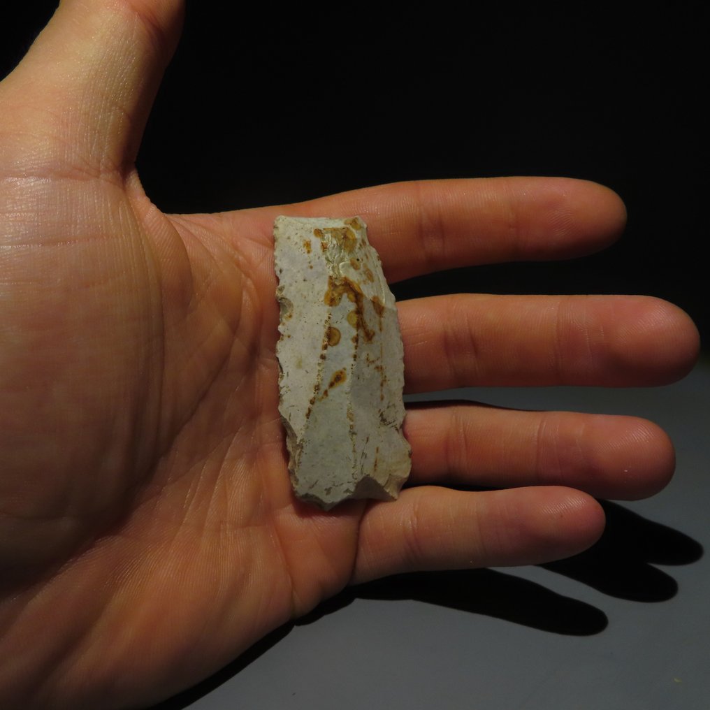 新石器时代 燧石 燧石工具。米歇尔斯堡文化（发现于比利时蒙斯的斯皮恩斯）。新石器时代，大约  (没有保留价) #4.3