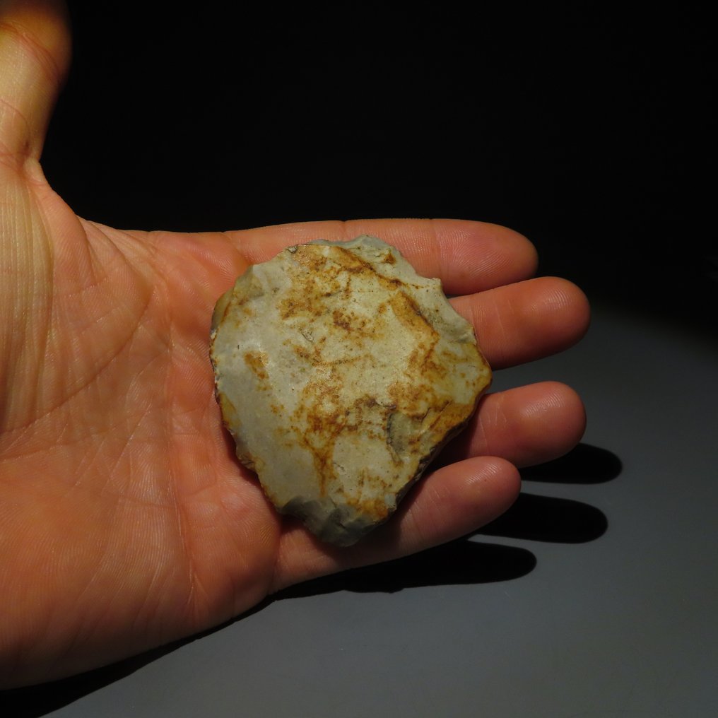 新石器时代 燧石 燧石工具。米歇尔斯堡文化(发现于比利时蒙斯的斯皮恩斯)。新石器时代,大约 (没有保留价) #4.3