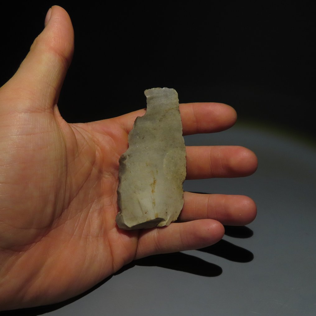 新石器时代 燧石 燧石工具。米歇尔斯堡文化（发现于比利时蒙斯的斯皮恩斯）。新石器时代，大约  (没有保留价) #4.3