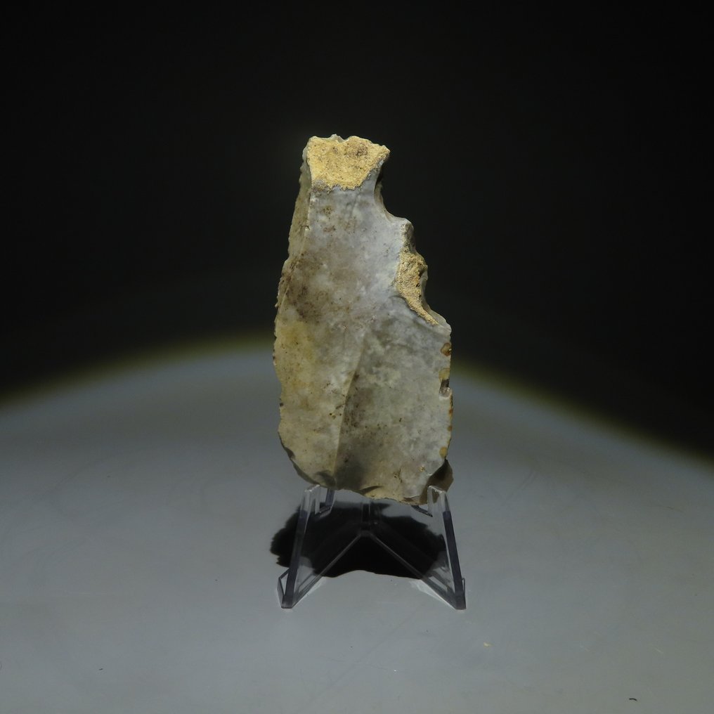 新石器时代 燧石 燧石工具。米歇尔斯堡文化（发现于比利时蒙斯的斯皮恩斯）。新石器时代，大约  (没有保留价) #1.0
