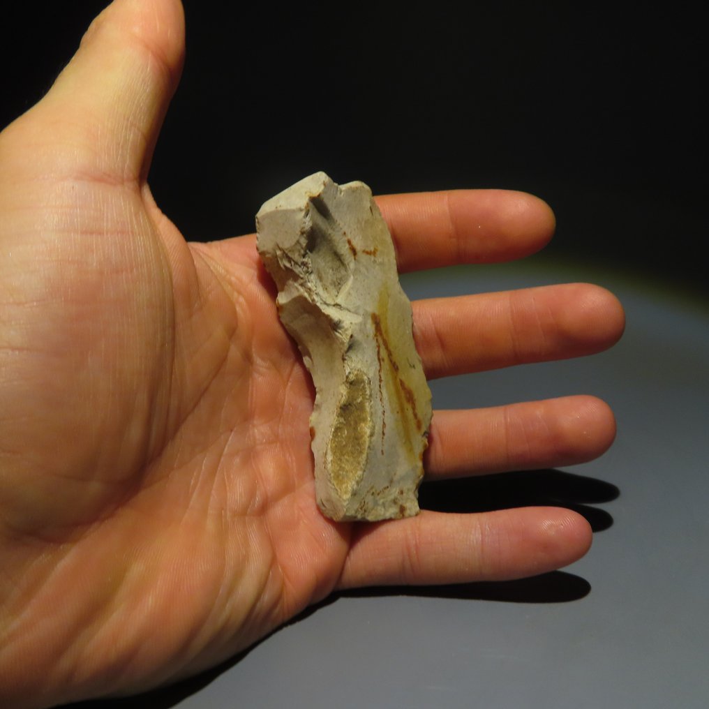 新石器時代 燧石 燧石工具。Michelsberg文化(发现于比利时蒙斯的Spiennes)。新石器时代,大约。 (沒有保留價) #3.2