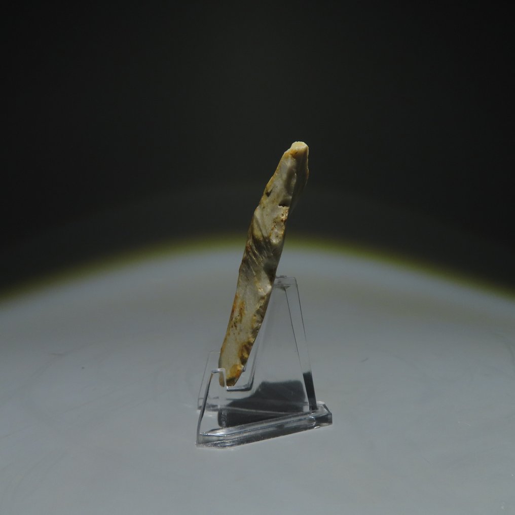 Neolithic Flint Flint tool. Michelsberg Culture (found in Spiennes, Mons, Belgium). Neolithic Period, circa  (No Reserve Price) #1.0