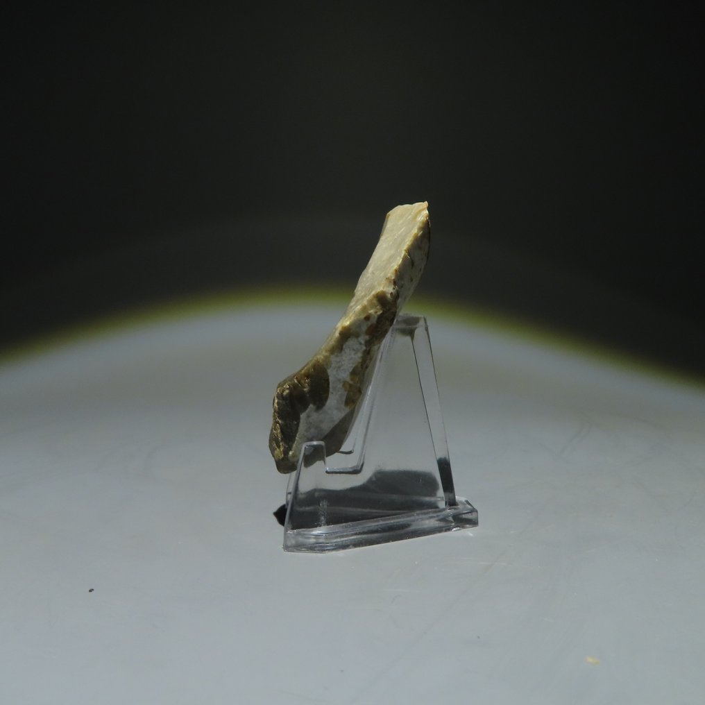 Neolittisk Flint Flint-verktøy. Michelsberg-kulturen (funnet i Spiennes, Mons, Belgia). Nylittisk periode, ca.  (Ingen reservasjonspris) #1.0