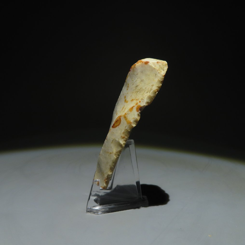 Νεολιθική Πυρόλιθος Εργαλείο από πυρίτη. Πολιτισμός Michelsberg (βρέθηκε στα Spiennes, Mons, Βέλγιο). Νεολιθική (χωρίς τιμή ασφαλείας) #1.0