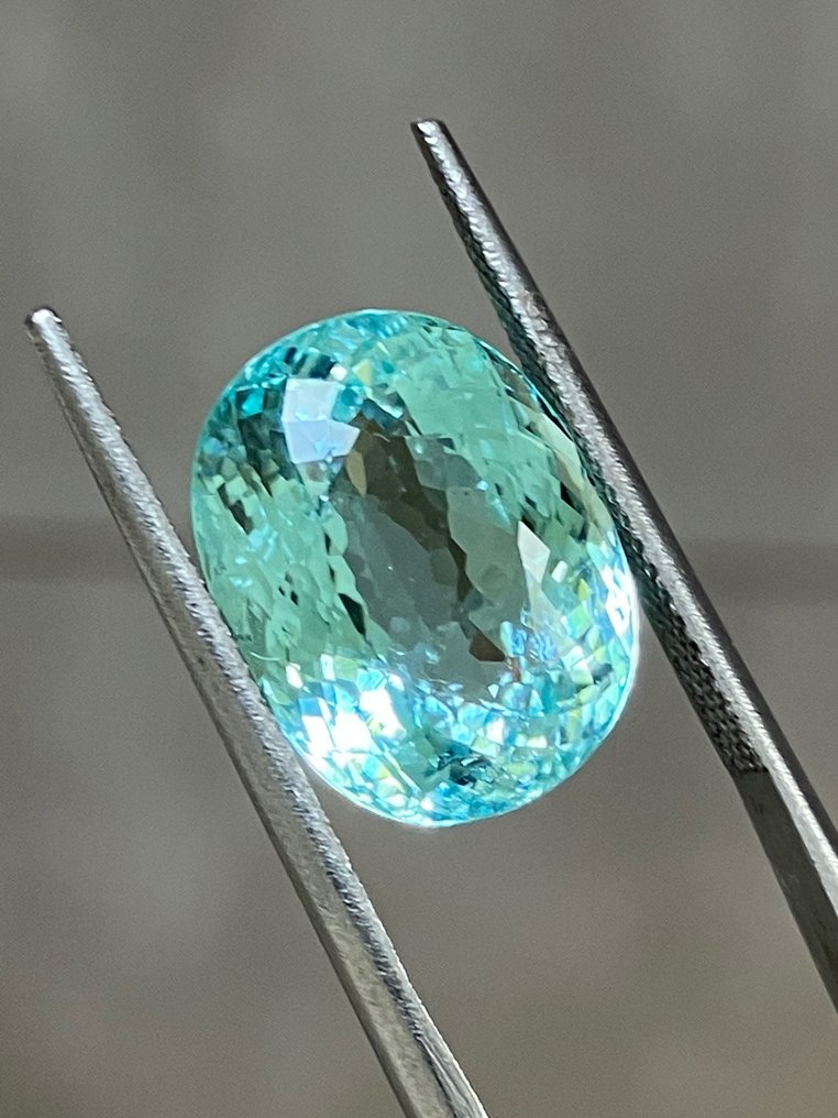 1 pcs Green Tourmaline paraiba - 9.11 ct - Gemological Institute of America (GIA) #1.0