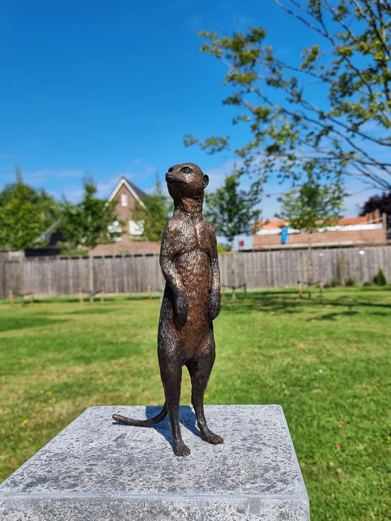 Statue, Large Bronze Meerkat Statue - 28 cm - Bronze #3.2