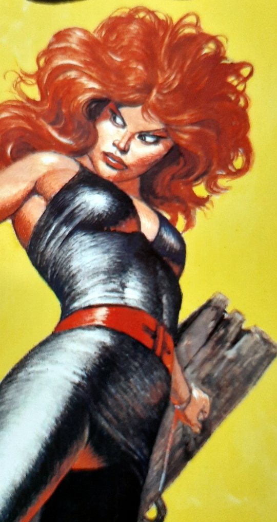 Storm - Kronieken van Pandarve 0 t/m 21 - Kronieken van de Tussentijd 1 t/m 4 - 26 Album, Ex Libris - 第一版 - 1980/2023 #3.2