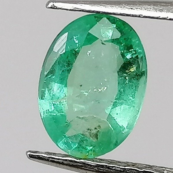 Smaragdi  - 0.69 ct - Sertifioidun gemmologin raportti #1.2