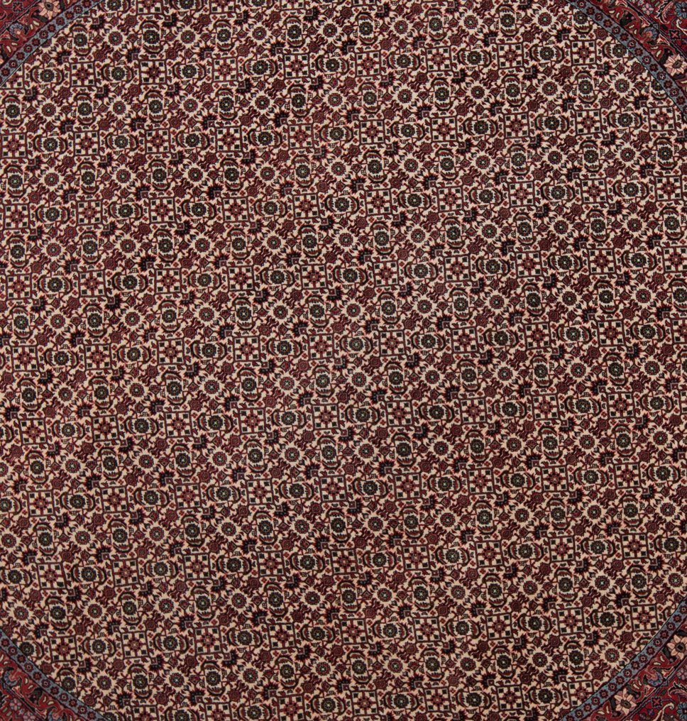 Bidjar - 小地毯 - 250 cm - 250 cm #3.1