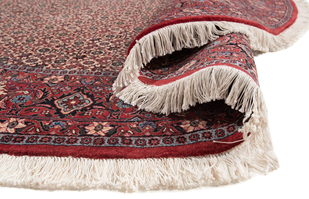 Bidjar - 小地毯 - 250 cm - 250 cm #2.2
