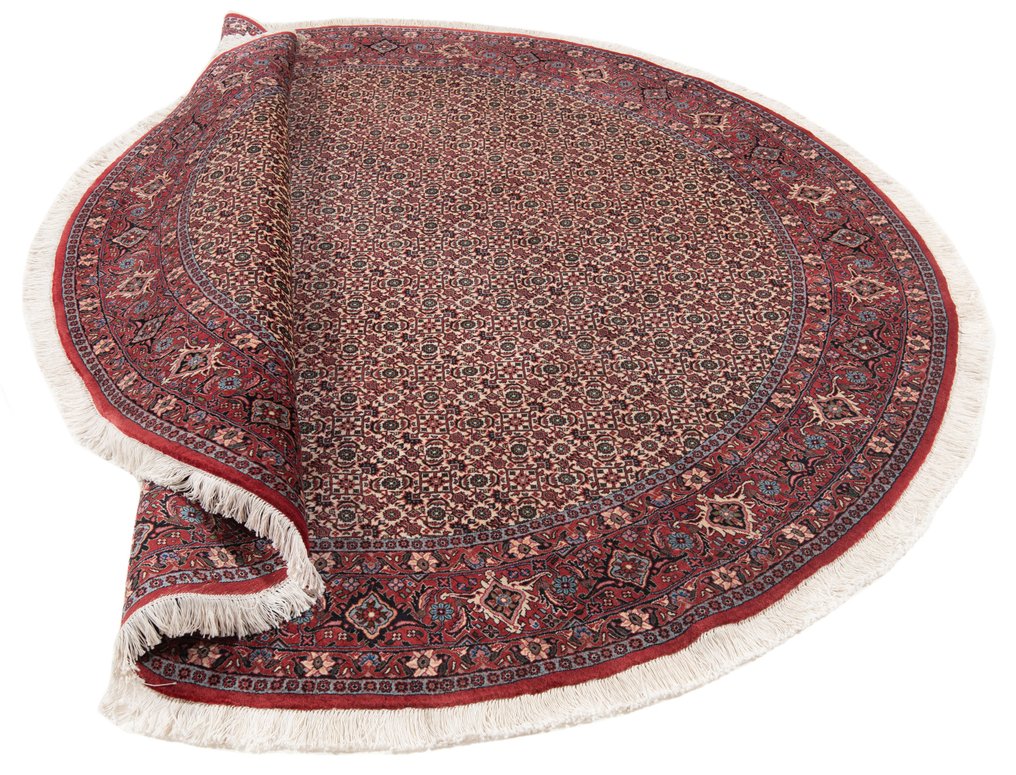 Bidjar - 小地毯 - 250 cm - 250 cm #2.1