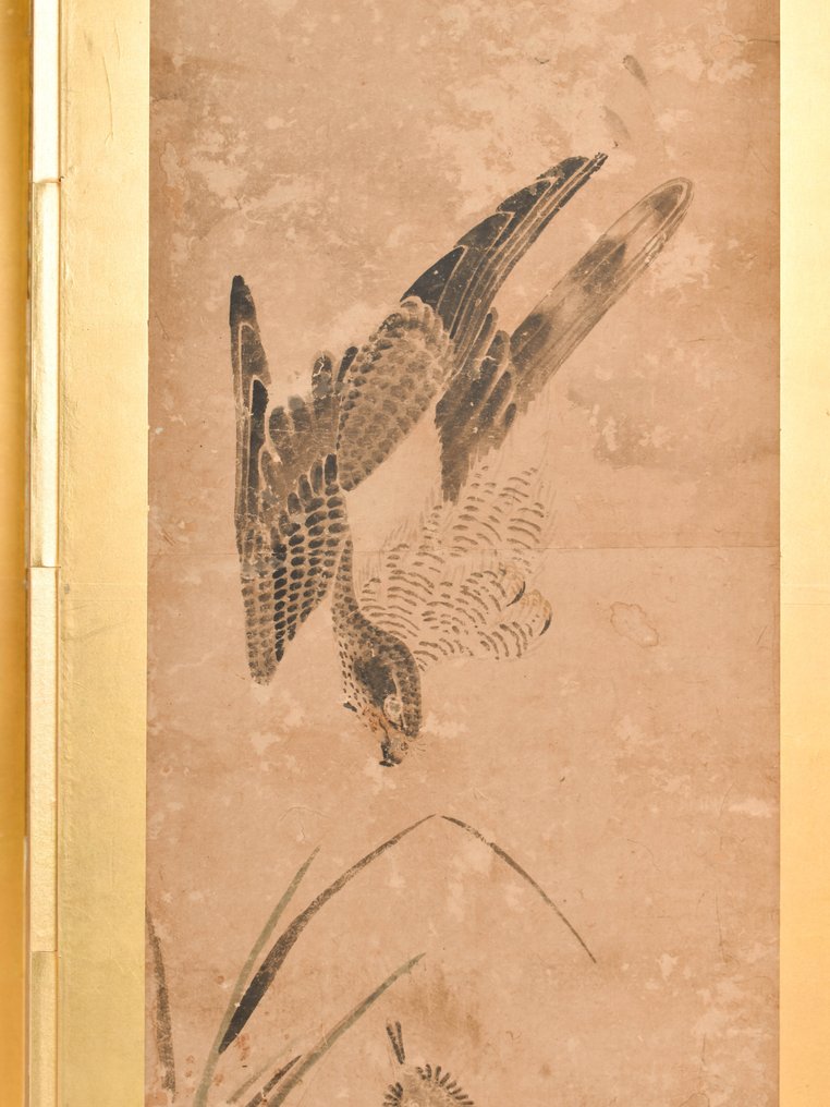 Byōbu屏风（折叠屏风） - 木, 纸 - Signed 'Kano Hōkkyō Toshinobu' 狩野法橋俊信 - Taka 鷹 (hawks) - 日本 - 18、19世纪（江户时代） #2.2