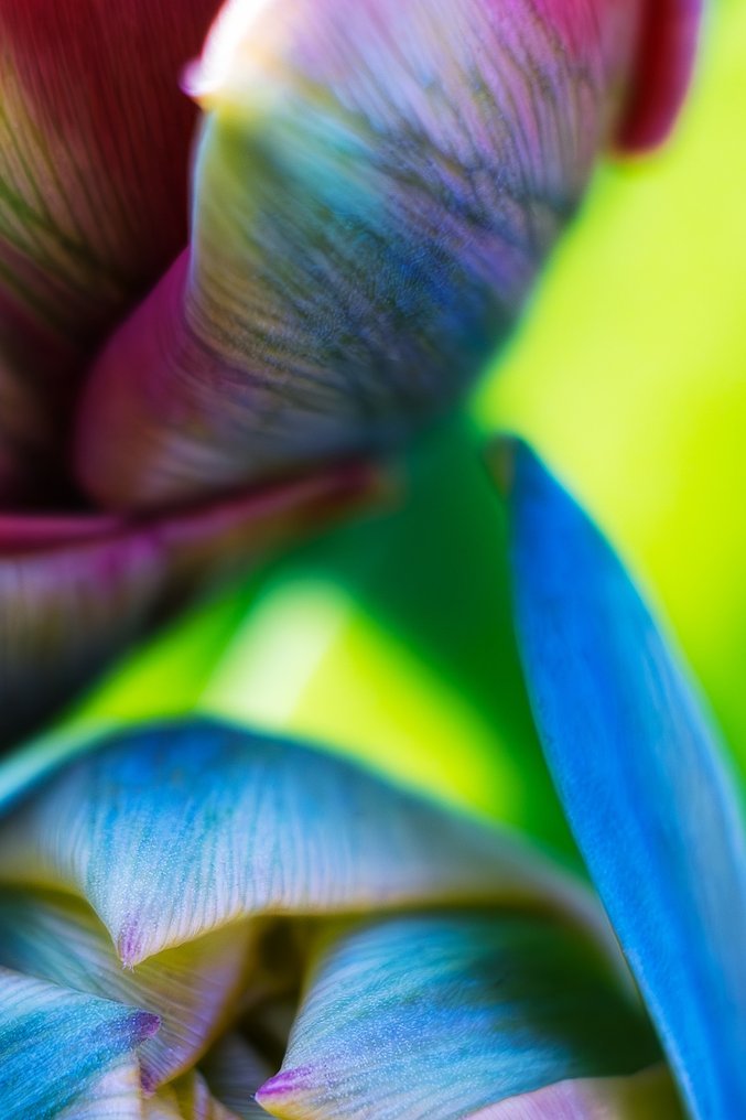 Inna Etuvgi - The Splash of Spring #3.2