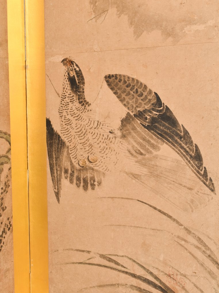 Byōbu 屏風 (αναδιπλούμενη οθόνη) - Ξύλο, Χαρτί - Signed 'Kano Hōkkyō Toshinobu' 狩野法橋俊信 - Taka 鷹 (hawks) - Ιαπωνία - 18ος/19ος αιώνας (περίοδος Έντο) #2.1