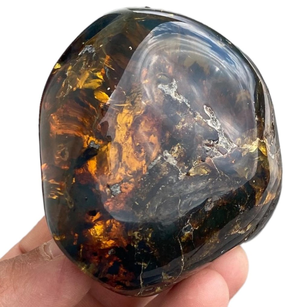 Fri form Chiapas Amber - Rav - 84.4 mm - 77.5 mm #1.2
