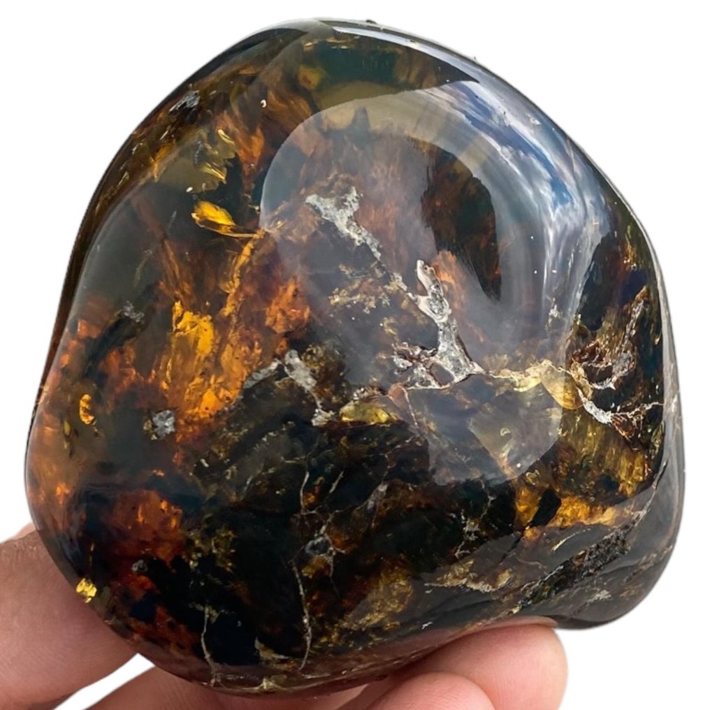 Vrije vorm Chiapas Amber - Barnsteen - 84.4 mm - 77.5 mm #1.1
