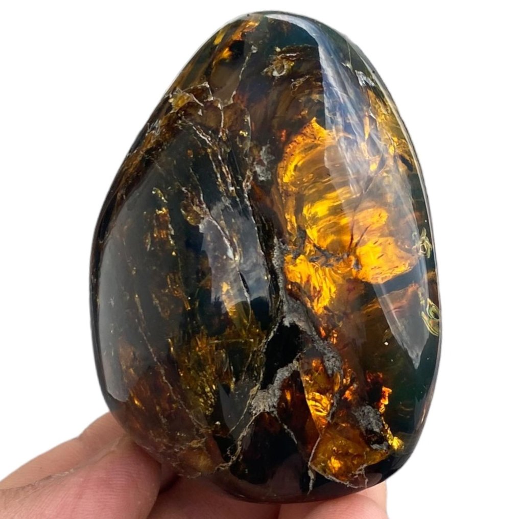 Vrije vorm Chiapas Amber - Barnsteen - 84.4 mm - 77.5 mm #2.1