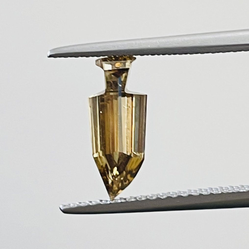 1 pcs Diamant - 1.01 ct - SPEZIELLER SCHNITT - Fancy gelb braun - SI1, GIA #2.1