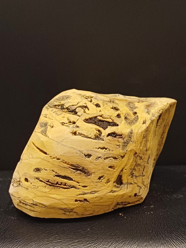 Ámbar amarillo perfumado de Indonesia - Planta fosilizada  (Sin Precio de Reserva) #1.1