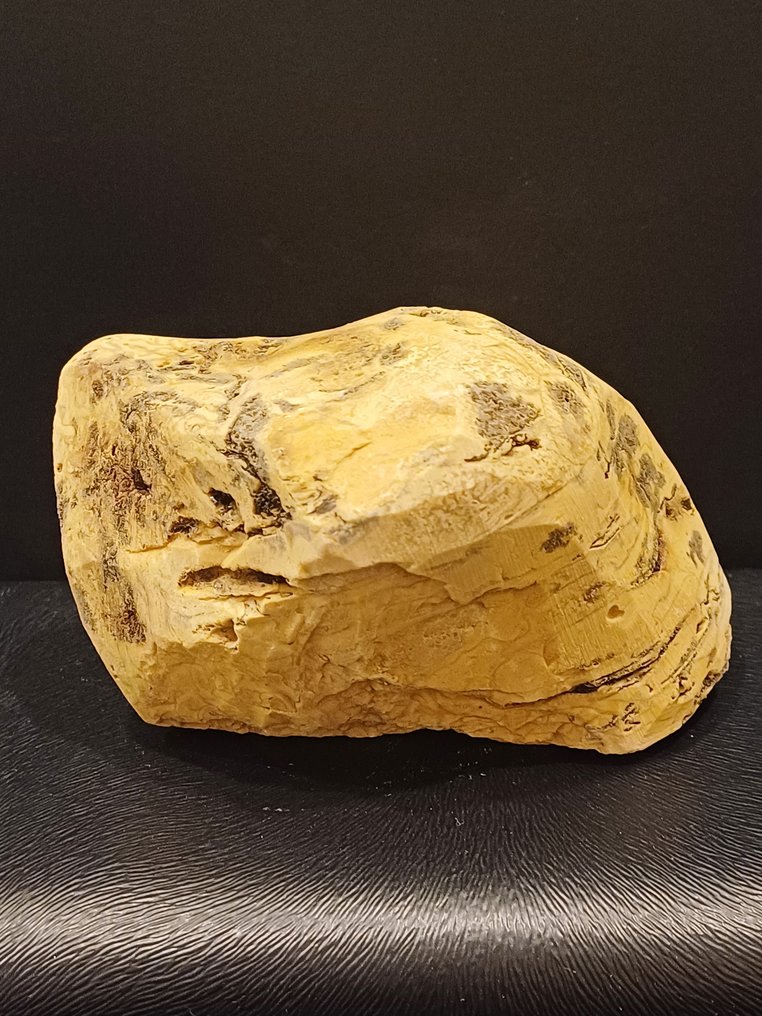 印尼香黃琥珀 - 植物化石  (沒有保留價) #2.1