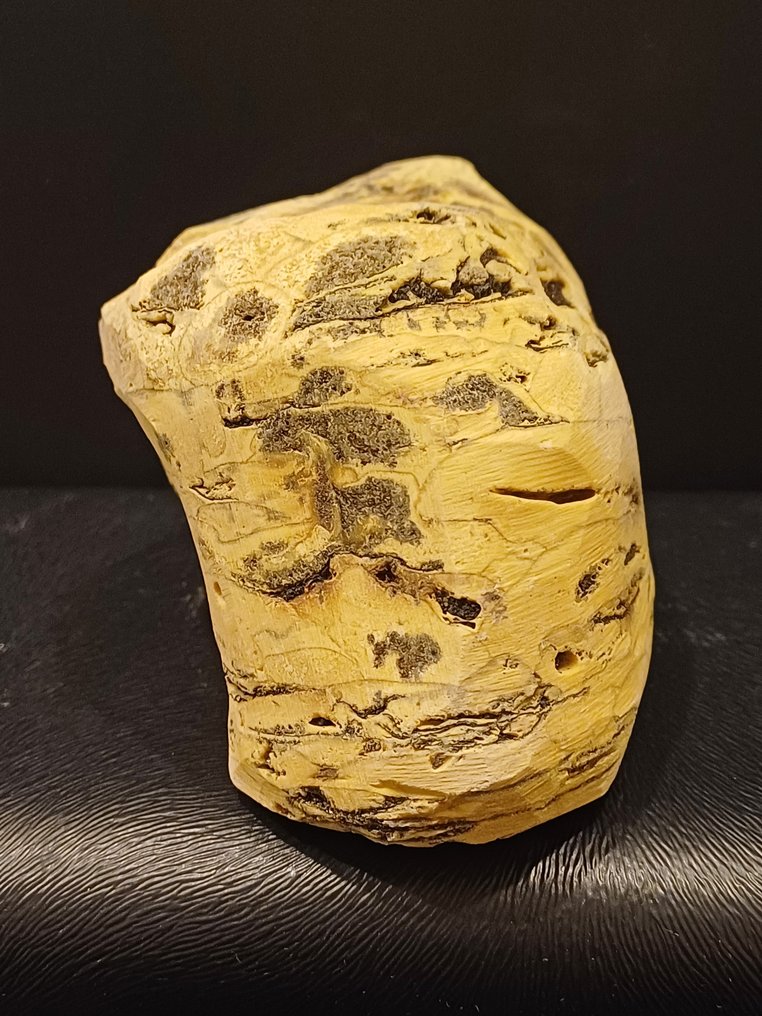 Chihlimbar galben cu parfum indonezian - Plantă fosilizată  (Fără preț de rezervă) #1.2
