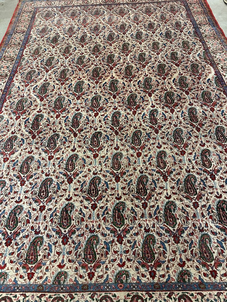 Ghoum - Carpete - 307 cm - 214 cm #2.1
