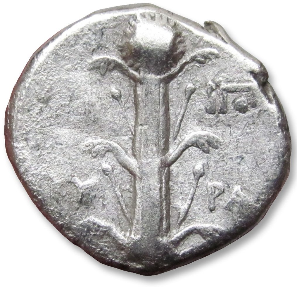 Kyrenaica, Kyrene. Time of Magas. Didrachm circa 294-275 B.C. - variety with single monogram symbol on reverse - #1.1