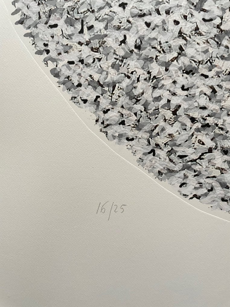 Lela Pupillo - Rappresentazione circolare #1.0