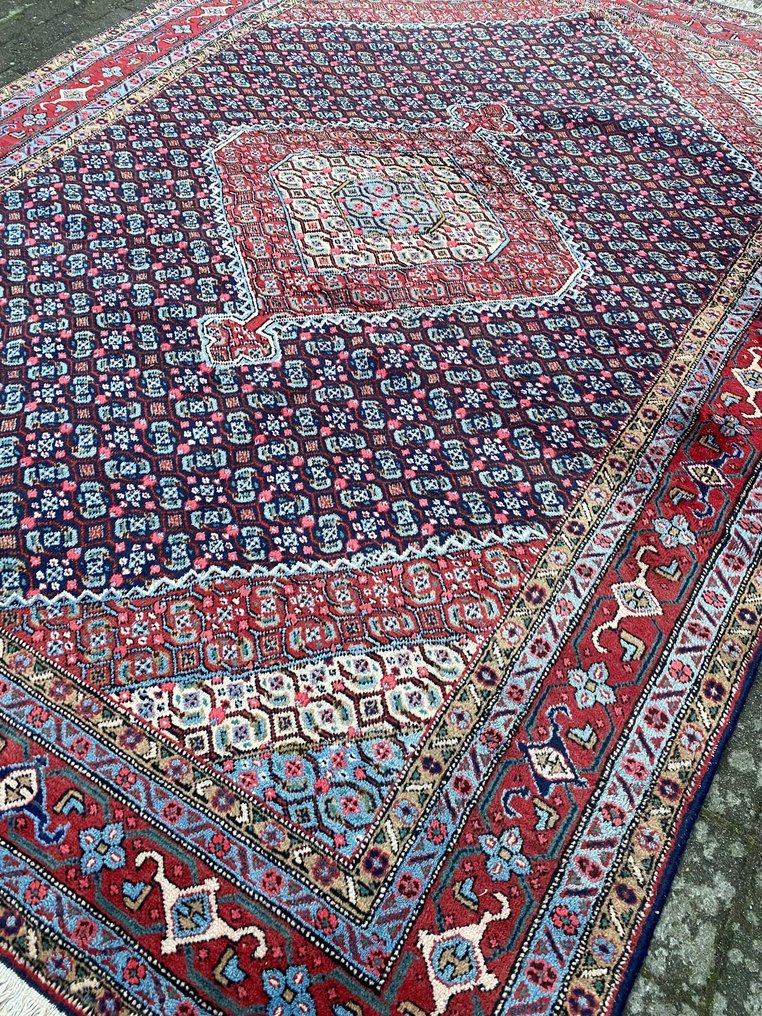 Senneh - Carpete - 288 cm - 211 cm #1.1