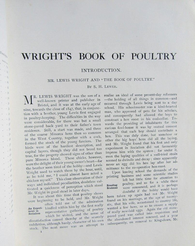 S. H. Lewer - Wright's Book of Poultry - 1915 #4.3