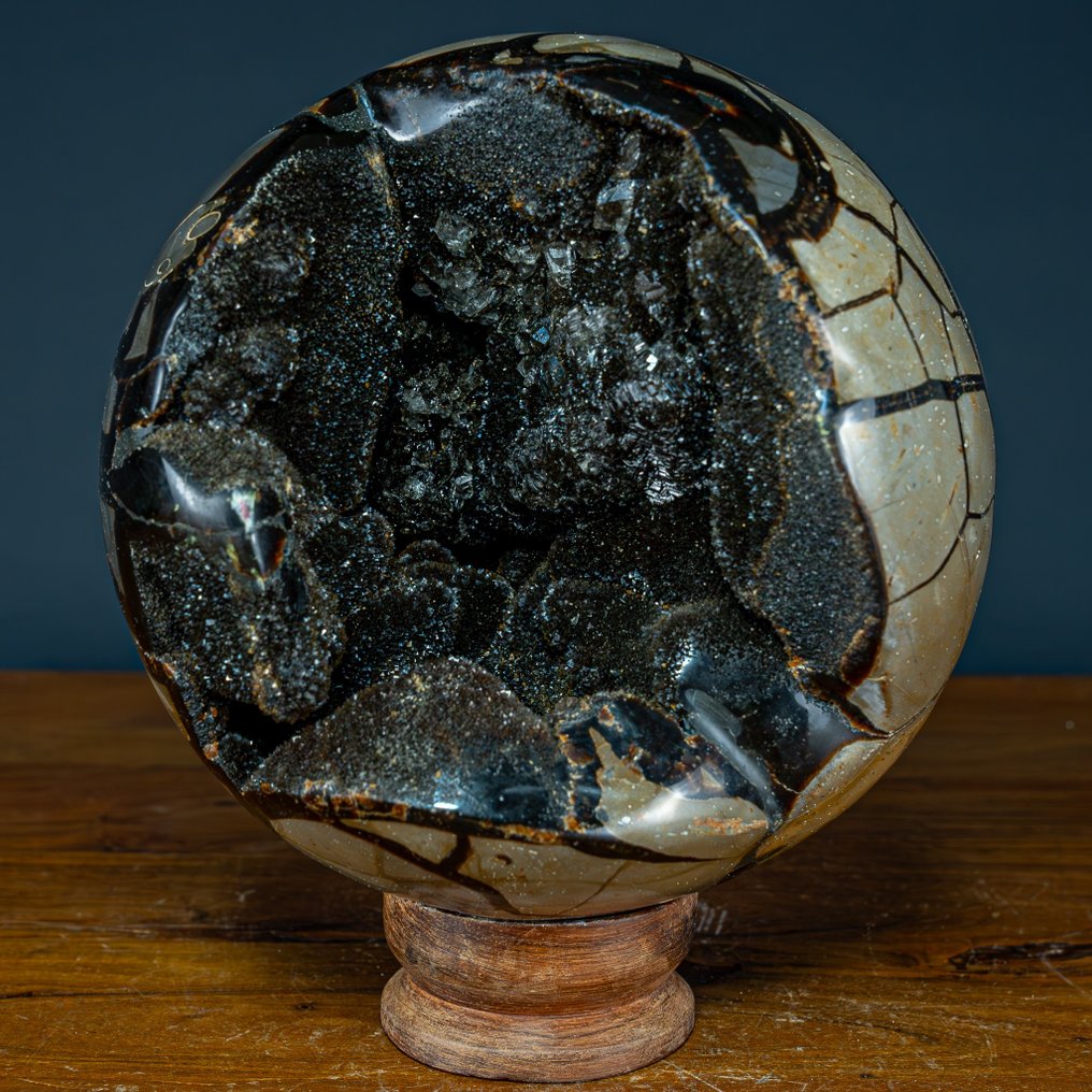 Septario natural Esfera / Drusa con Cristales de Calcita- 8536.61 g #1.1