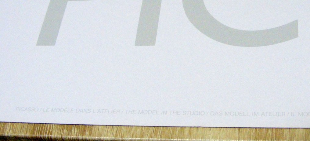 Pablo Picasso - le modele dans L'atelier (1954) - anii `80 #3.2