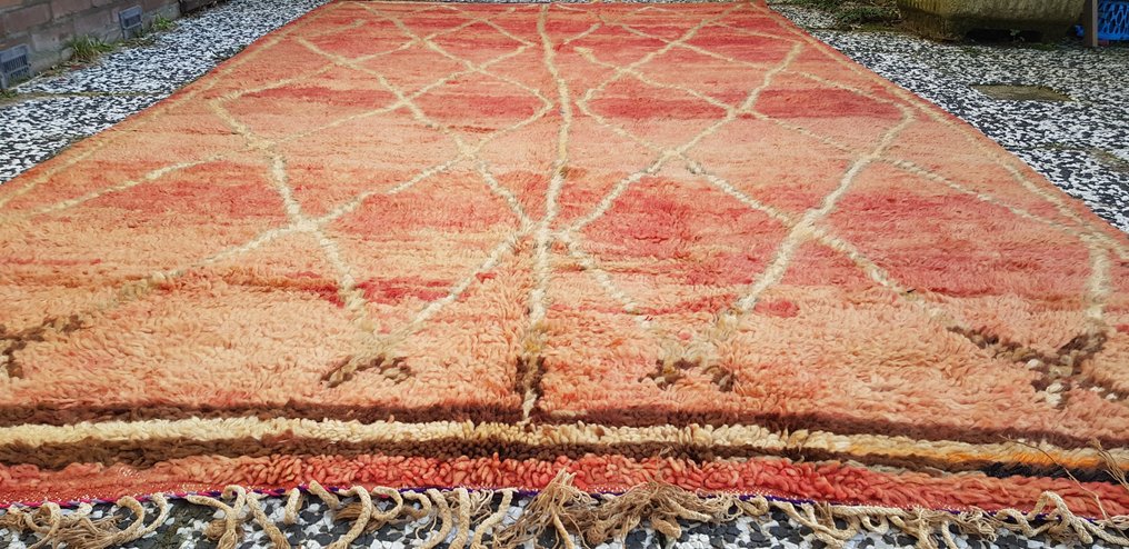 Berber - 地毯 - 312 cm - 174 cm #1.1