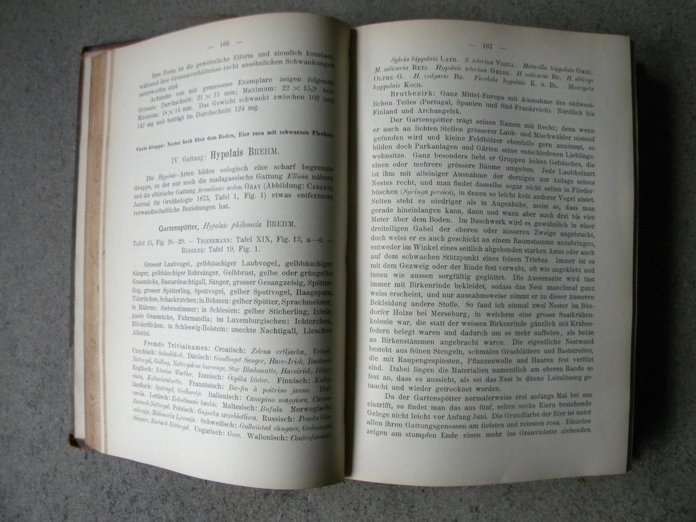 Dr. Eugène Rey - Die Eier der Vögel Mitteleuropas - 1905 #3.2